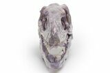 Polished Chevron Amethyst Dinosaur Crystal Skull - Ferocious! #218500-2